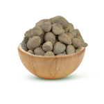 Soft Palestinian olive